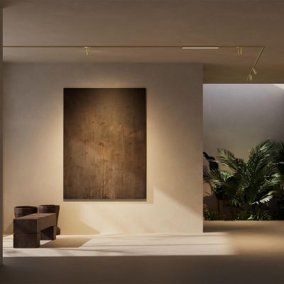 Lucide Premium LINIAL Pendant connection for built-in driver - 1-Circuit lighting system - Smart - 48V Track - Champagne